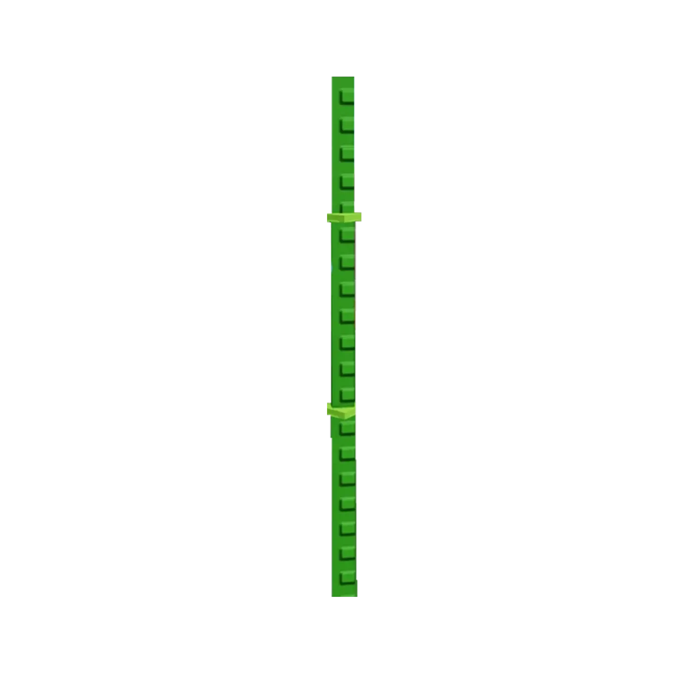 Bamboo - Grow Garden